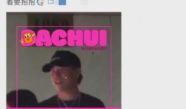 刘大锤爆料完整视频播放,独家爆料背后的真相与细节